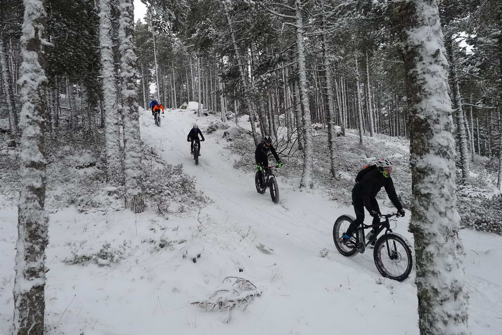 alquiler-fatbike-fat-bike-ruta-excursion-pirineo-cerdana-bici-nieve-02